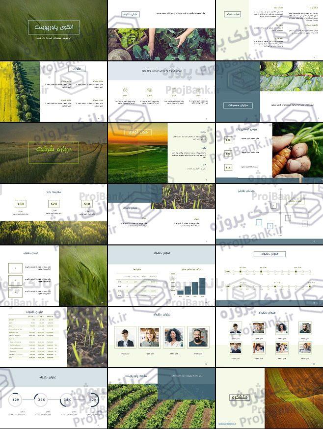 تصاویرتمام اسلایدهای قالب پاورپوینت کشاورزی